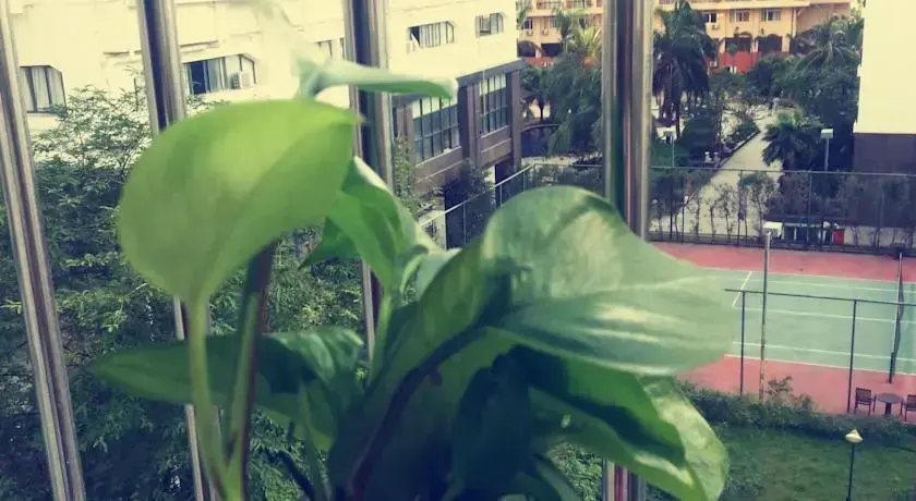 Санья: Sanya Rainbow Footprint Guesthouse