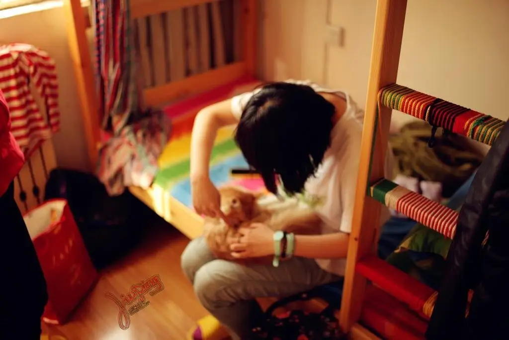 Сиань: Xi'an Jiuping Hostel