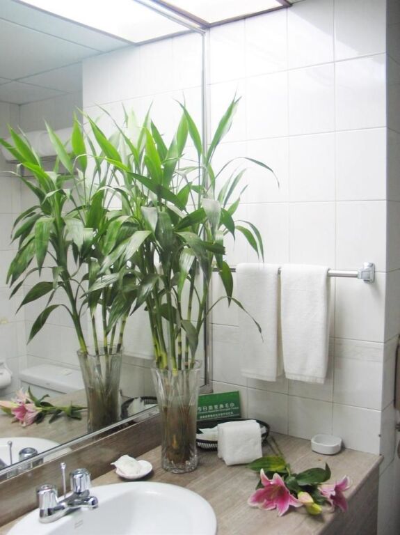 Сиань: Le Garden Hotel