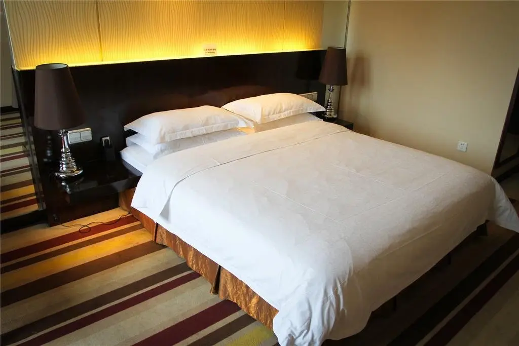Сиань: Lotus Hotel