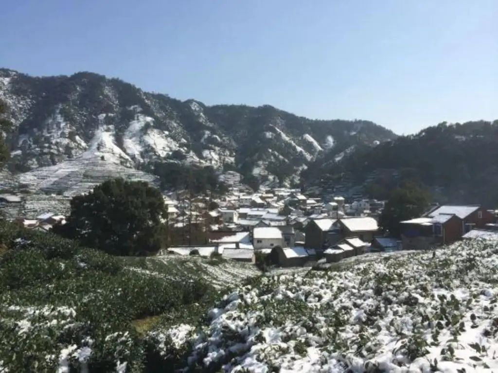 Ханчжоу: Xuanzhe Tea House Inn