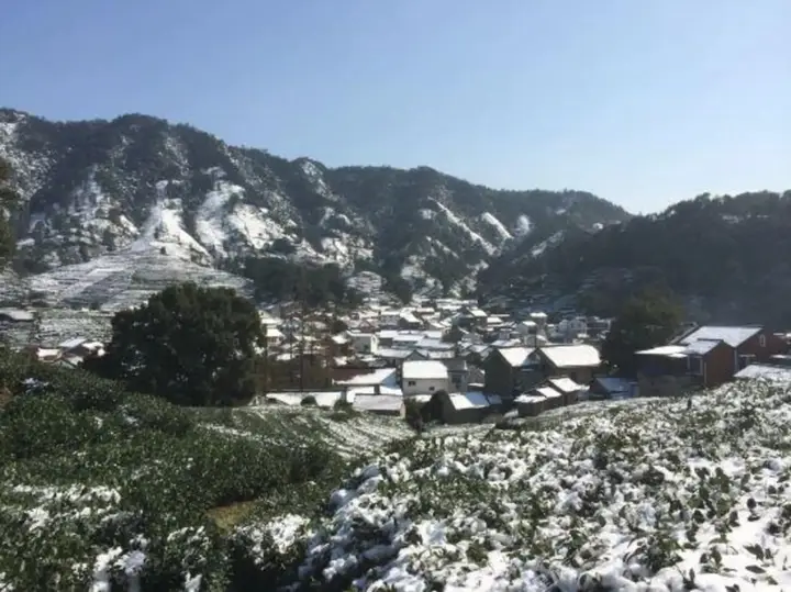 Ханчжоу: Xuanzhe Tea House Inn