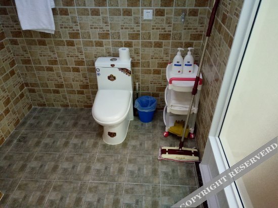 Далянь: Dalian Xinghaiyihe Apartment Hotel