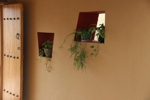 Пекин: Huairou Jinzi Farmstay