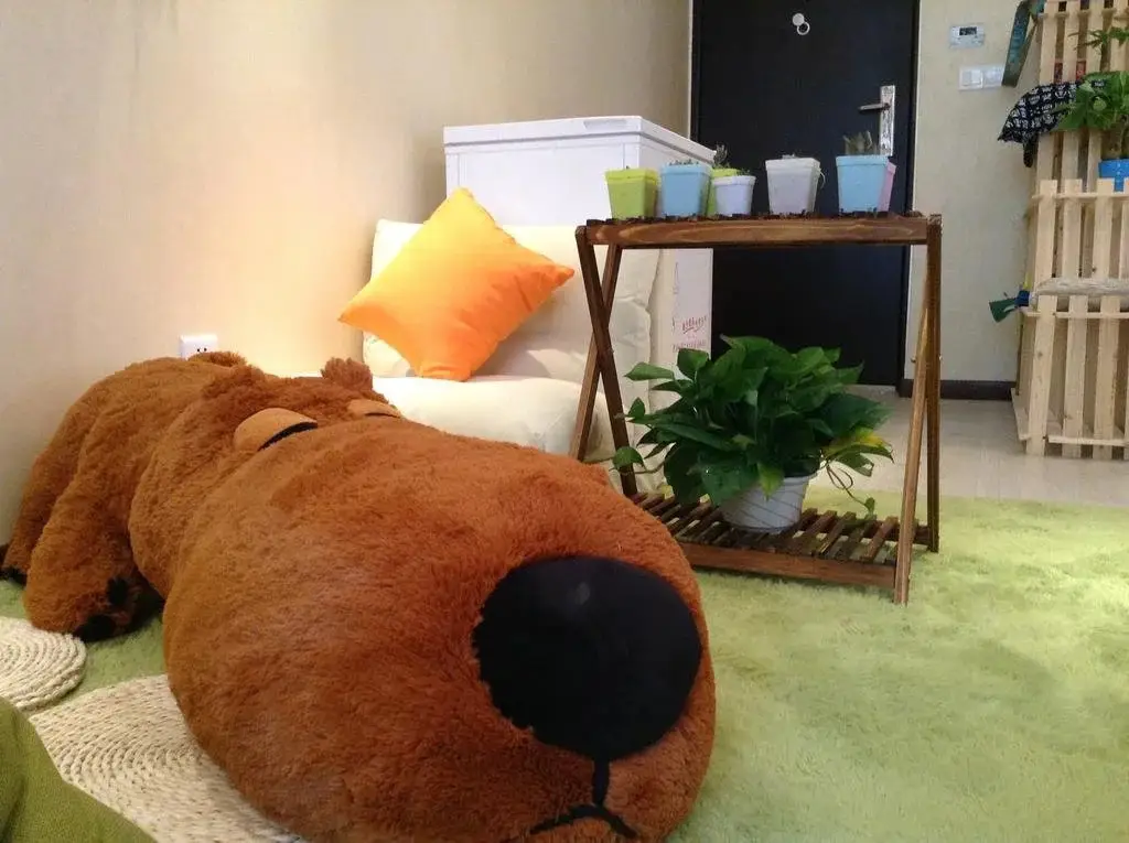 Гуйян: Guiyang Momo Youth Hostel