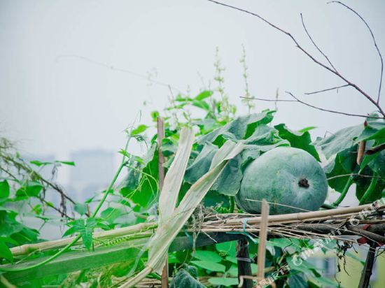 Чэнду: Housheng Youth Hostel