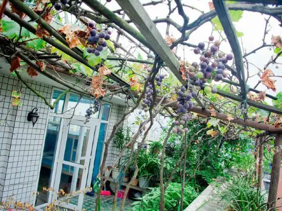 Чэнду: Housheng Youth Hostel