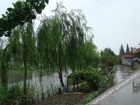 Xitang Jiangnan Time Inn — фото 1