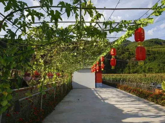 Даньдун: Wangjia Dayuan Homestay