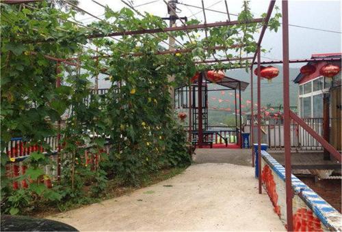 Пекин: Beijing Guancheng Yongli Farmstay