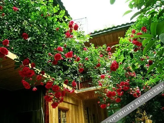 Яань: Ya'an Shangli Moziwan Inn