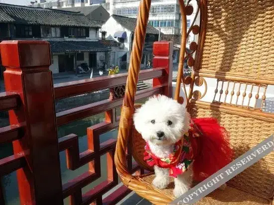 Цзясинь: Yuting Culture Themed Hotel