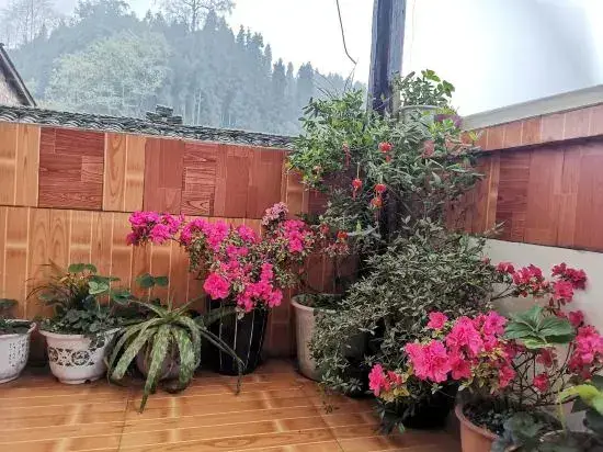 Яань: Ya'an Shangli Ancient Town Haojinglou Homestay