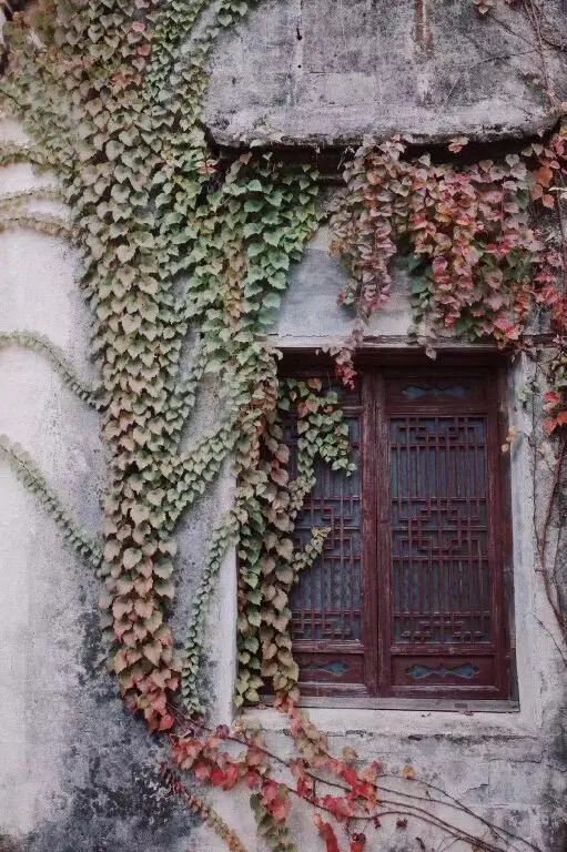 Хуаншань: Hongcun Old House International Youth Hostel