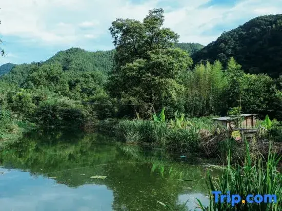 Xuancheng: Xuancheng Jinguchun Farm stay