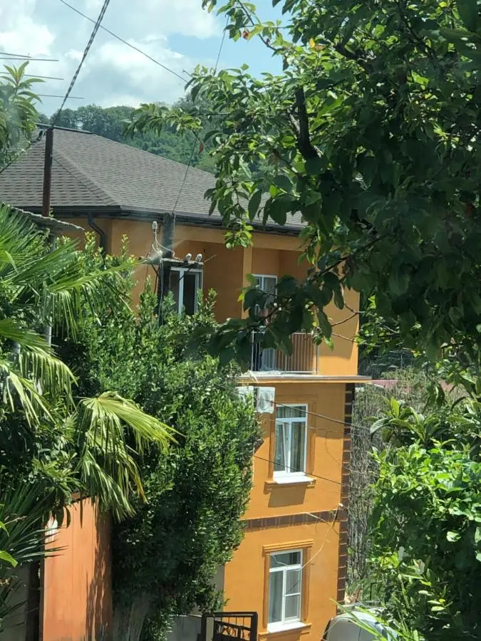 Сочи: Guest house U Artura