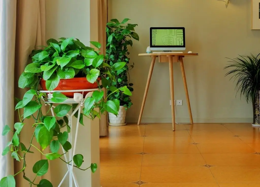 Ханчжоу: Hangzhou Home Inn - Tianmushan Road