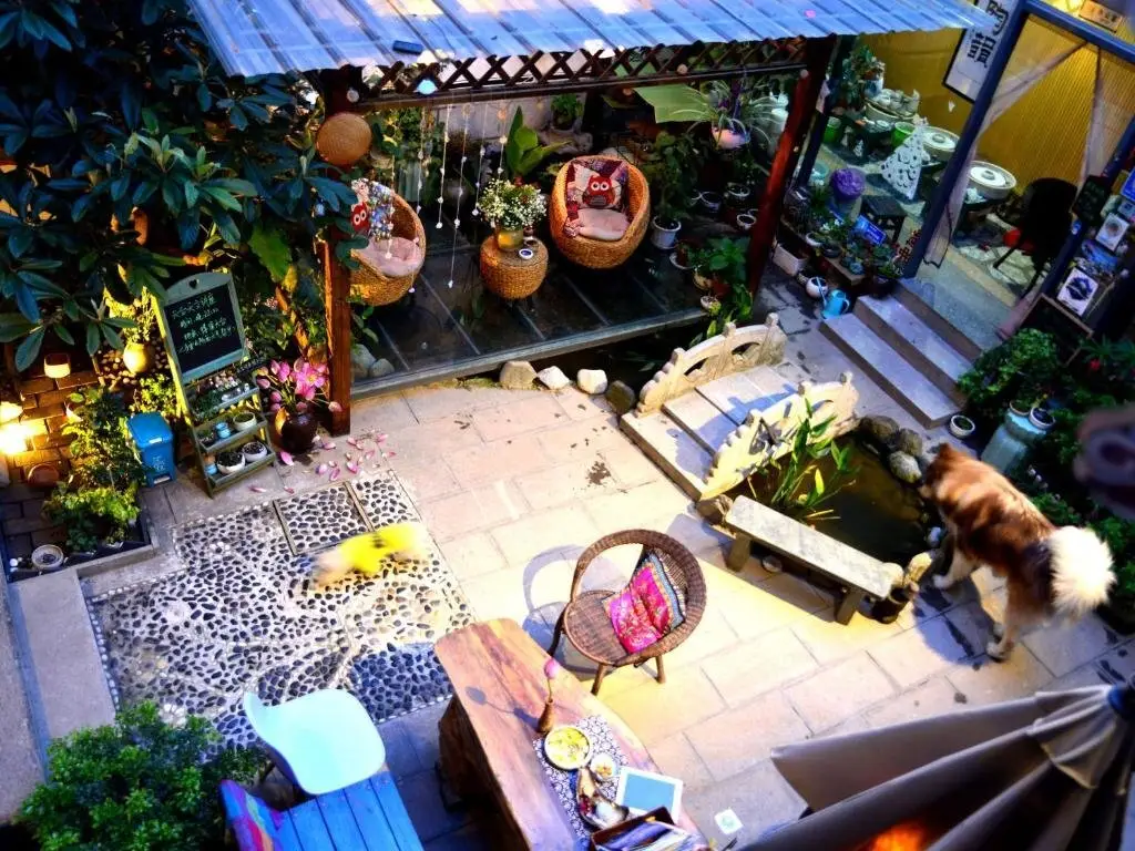 Дали: F.L.Y Pottery&Astronomy Hostel