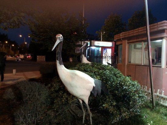 Циндао: Red Crowned Crane Hotel