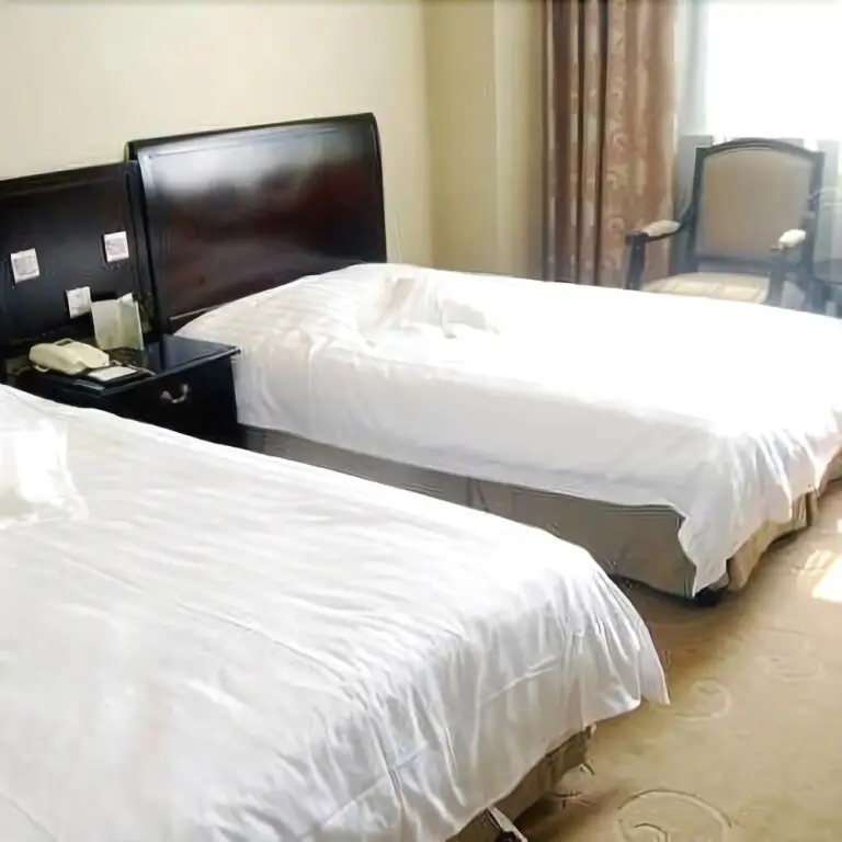 Чжэнчжоу: Songyang Hotel