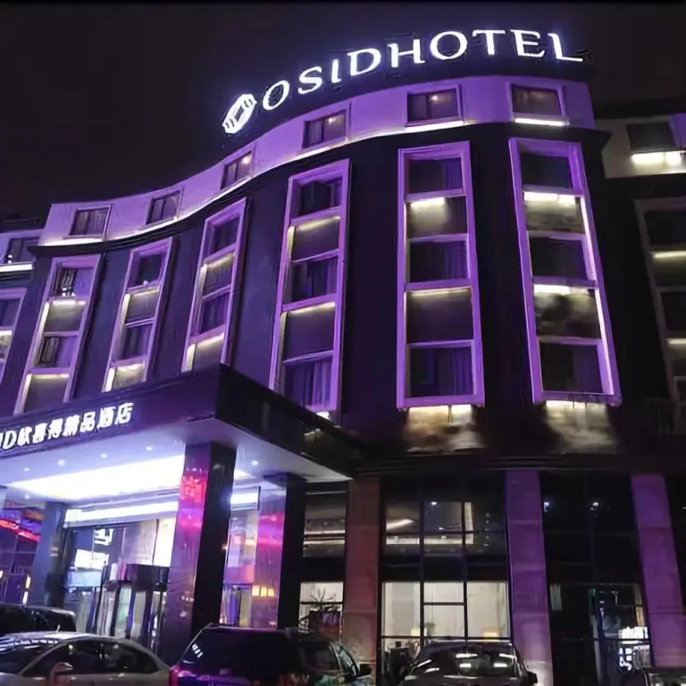 Osid Hotel — фото 1