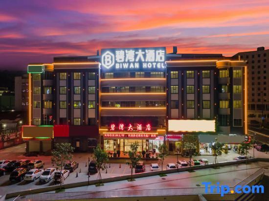Biwan Hotel (Zhuhai Hengqin Huafa Shangdu) — фото 1