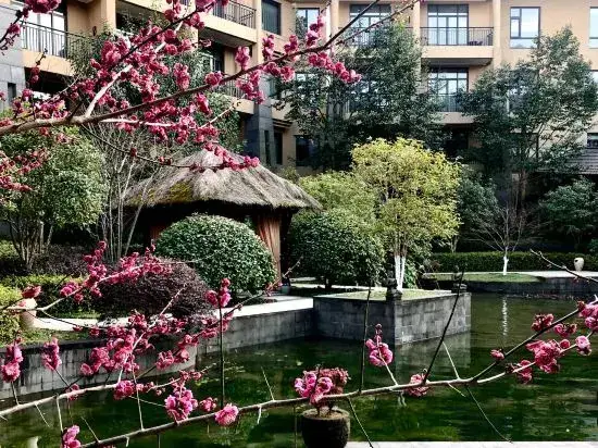 Ханчжоу: Tuankou Zhongan Radon Hotspring Resort