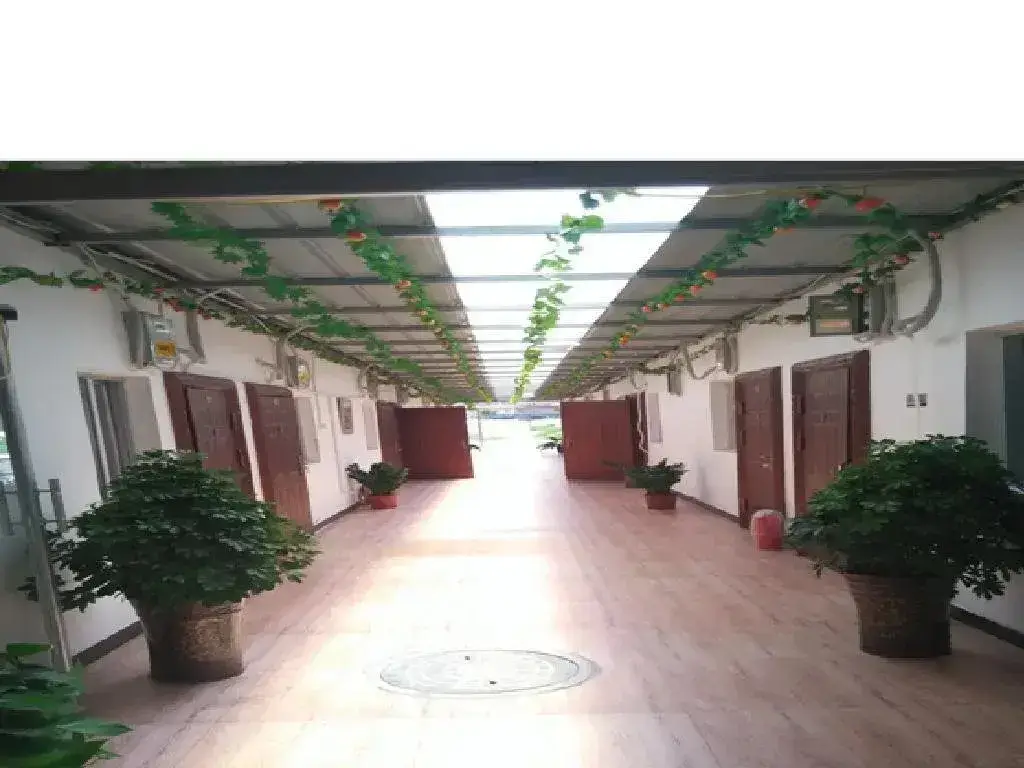 Шицзячжуан: Xingyue Hotel