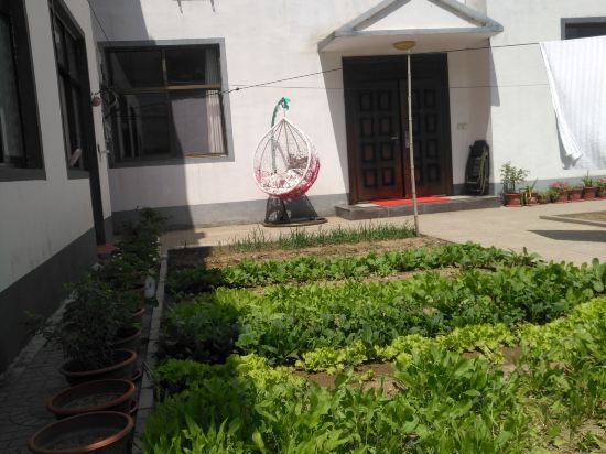 Баодин: Yesanpo Dazan Farm Stay