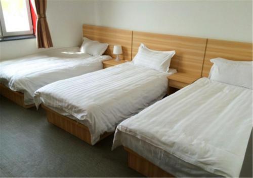 Чжанъе: Zhangye Shengda Inn