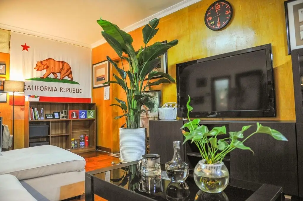 Шэньчжэнь: Shenzhen South California Youth Hostel