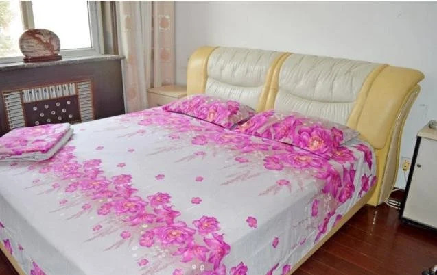 Шицзячжуан: Sweet Home Inn