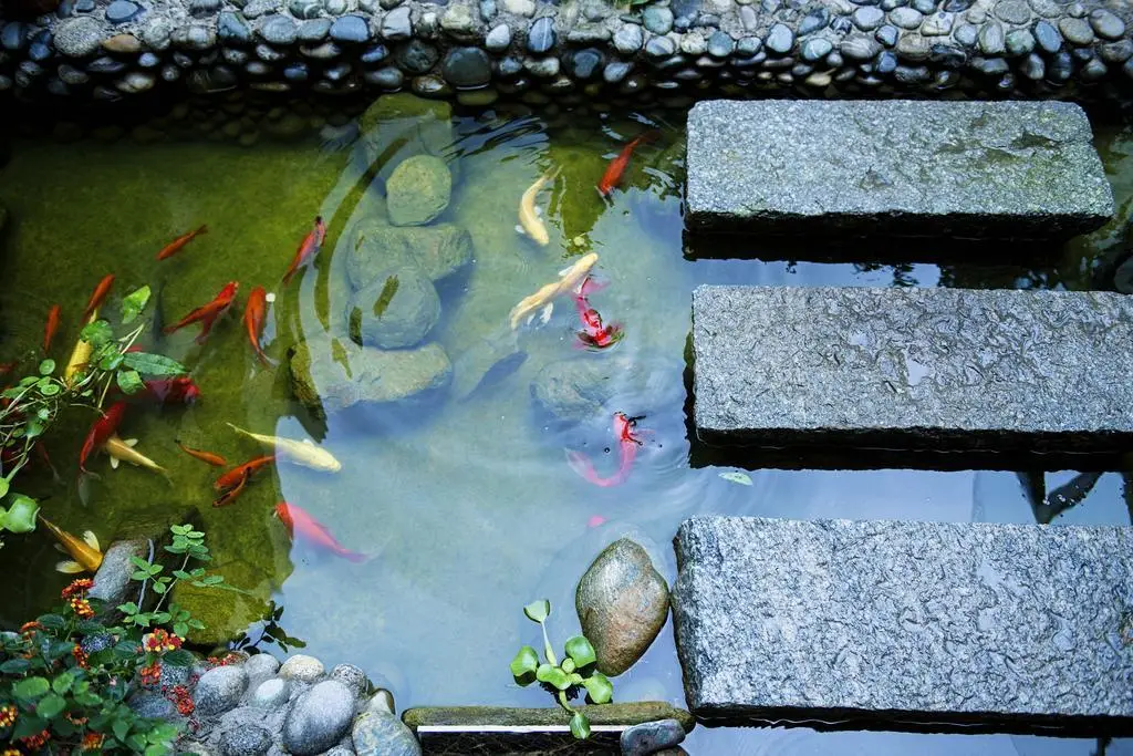 Dali Ziqing Guest House — фото 1