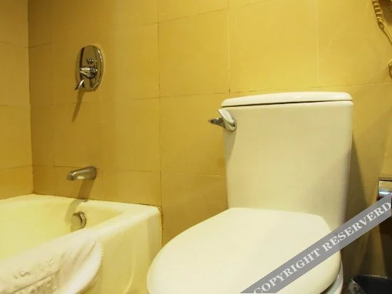 Цзясинь: Junyue Hotel