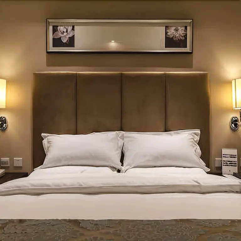 Мяньян: Xinchuan Shouzuo Hotel