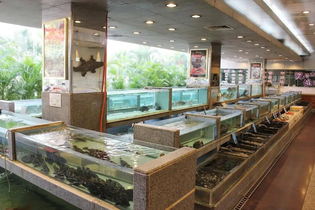 Гуанчжоу: Panyu Xiangjiang Hotel - Guangzhou