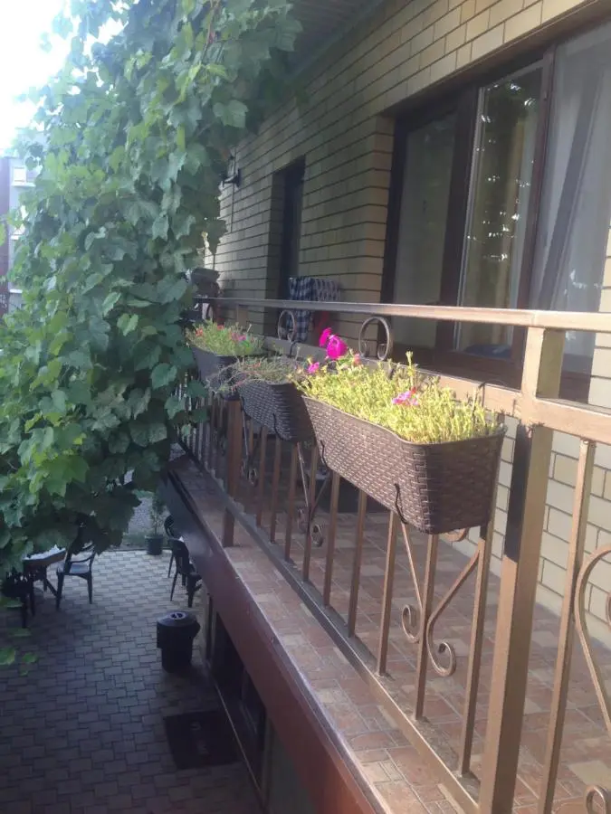 Витязево: Guest House Romalina