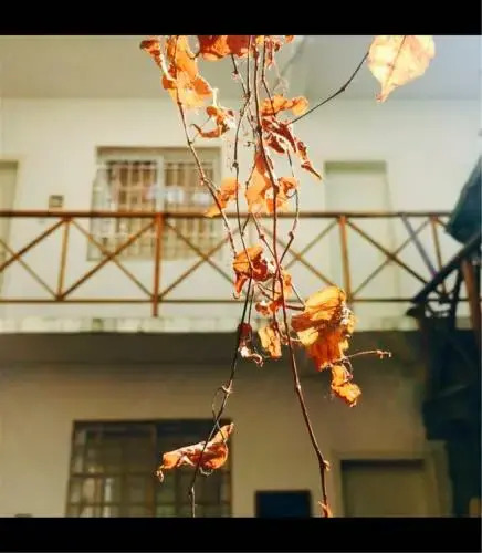 Polka Inn — фото 1