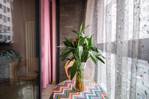 Сиань: Xi'an Mini Hostel