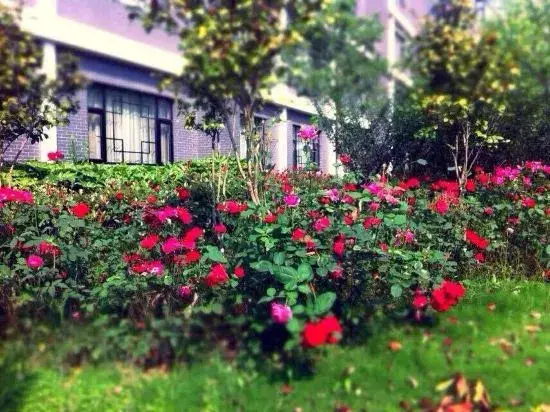 Чичжоу: Dong Rong Resort Hotel
