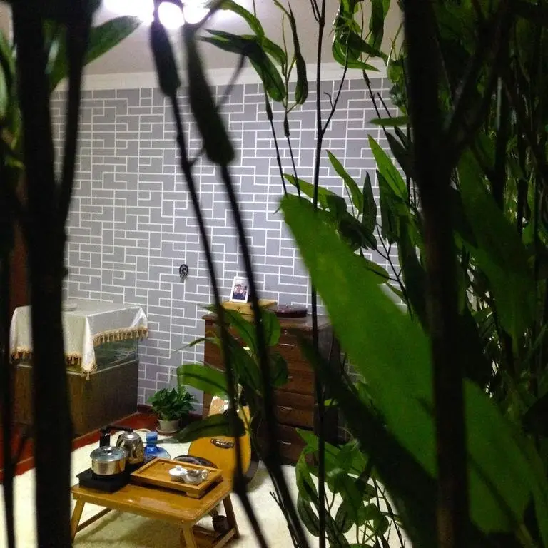 Цзинань: Jinan Nest International Youth Hostel Honglou