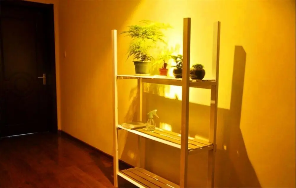 Тайюань: Taiyuan Sunflower Youth Hostel