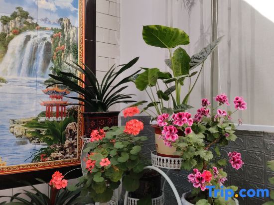 Синьчжоу: Shengyi Hotel (Wutai Mountain Tourist Center Store)