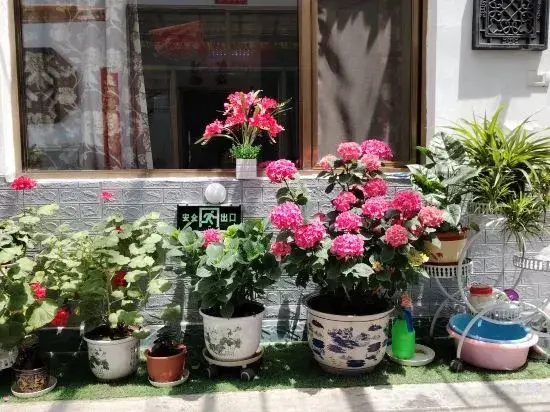 Синьчжоу: Shengyi Hotel (Wutai Mountain Tourist Center Store)
