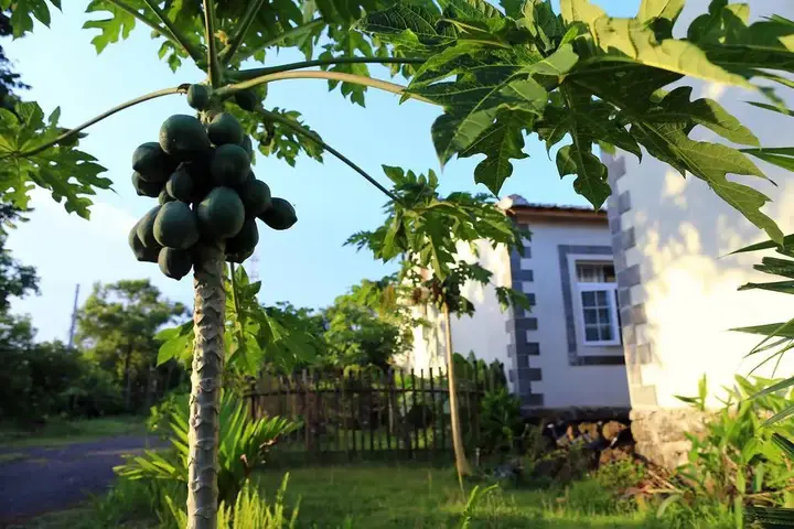 Хайкоу: Hualizhijia Hostel