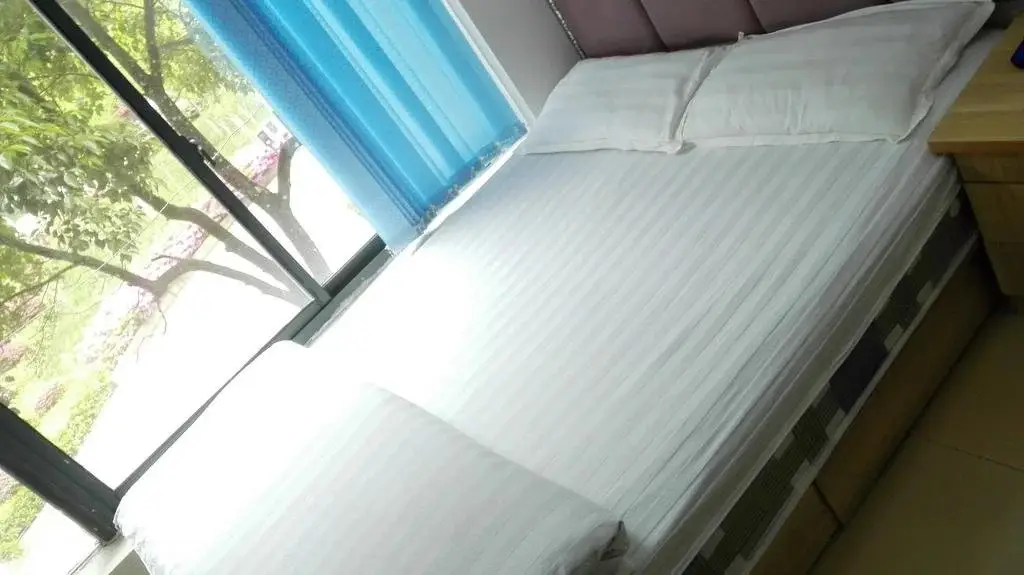 Ухань: Wuhan 988 Inn