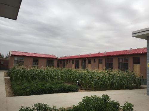 Zhongwei Shapotou Riverside Rural Guesthouse — фото 1