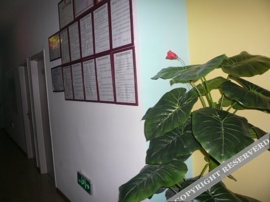 Циньхуандао: Shangteng Express Hotel
