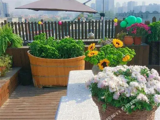 Чжэнчжоу: Zijinghua Hotel Apartment