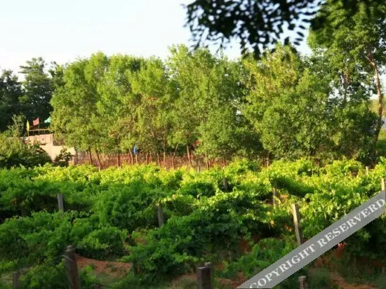 Чжунвэй: Shapotou Tongjia Yuanzi Folk Customs Village
